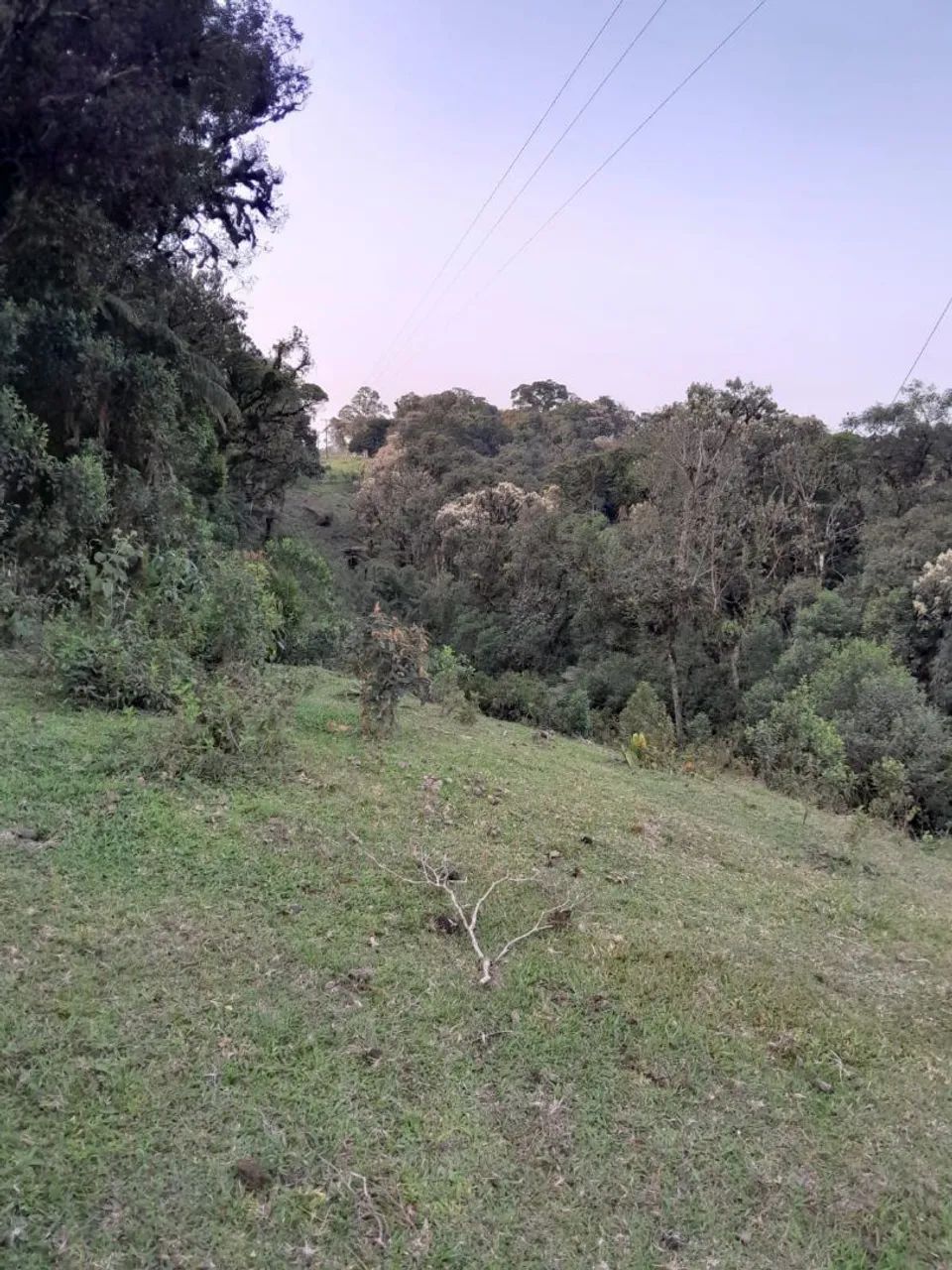 Área ideal para chácara  - Foto 4