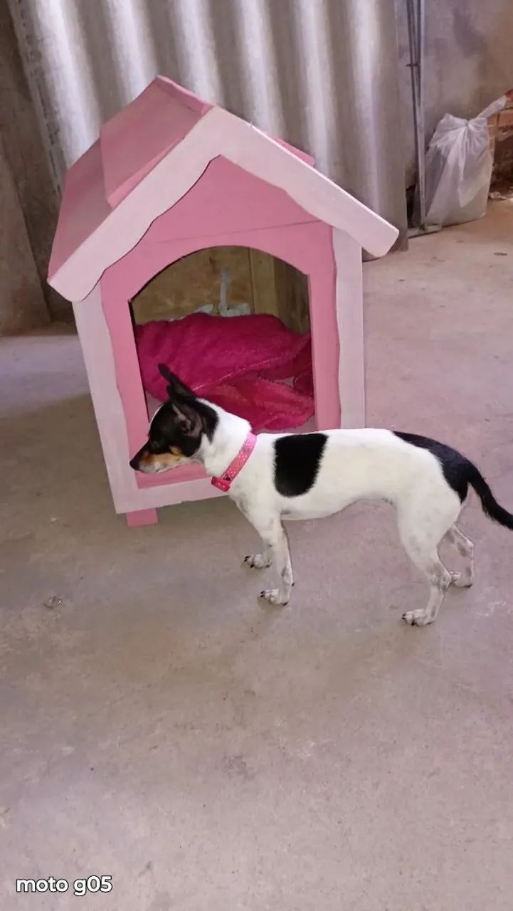 Fabrícamos casinhas de cachorro ZAP; *