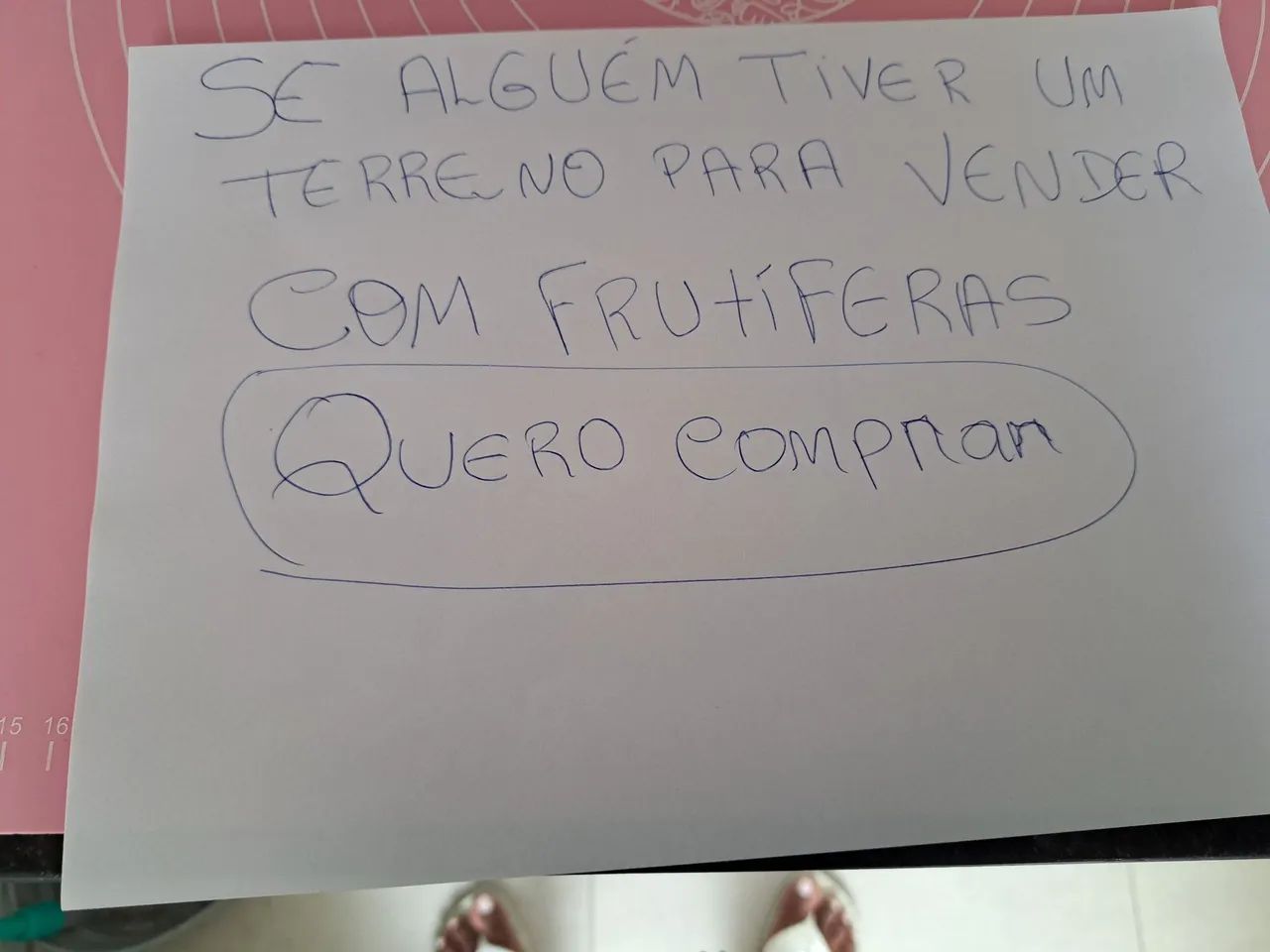 COMPRO TERRENO COM FRUTIFERAS