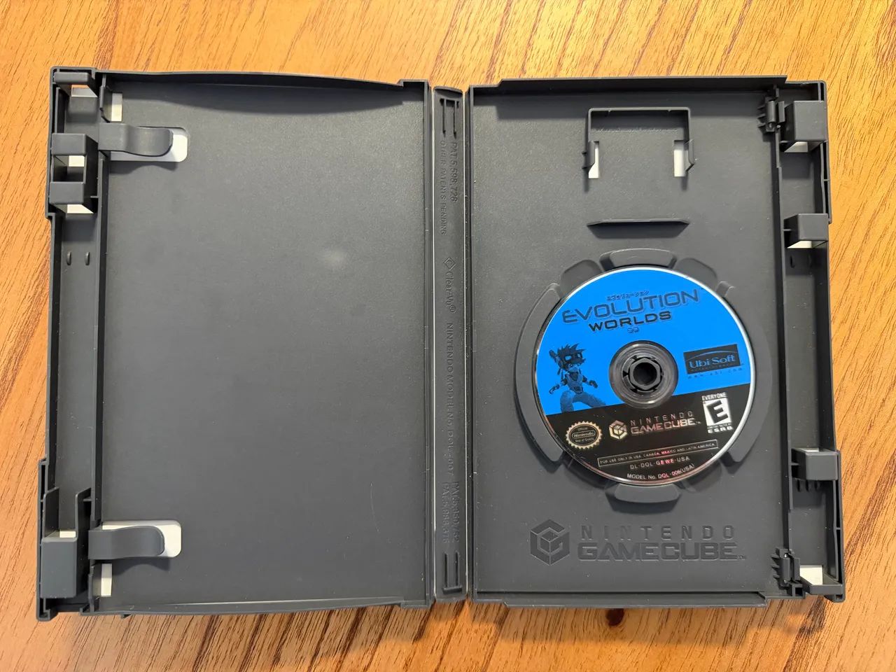Evolution worlds GameCube - Foto 3