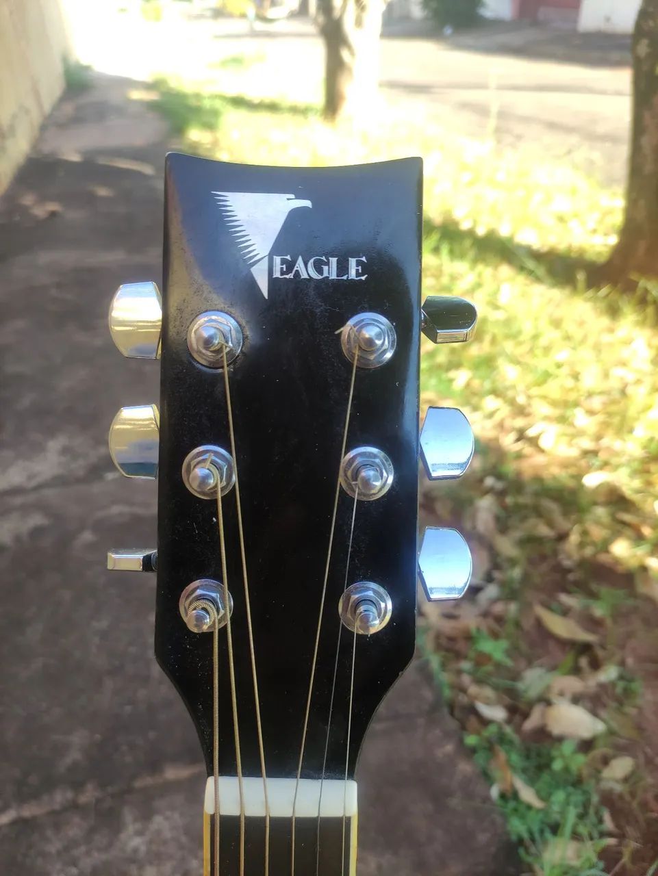 Eagle folk profissional  - Foto 2