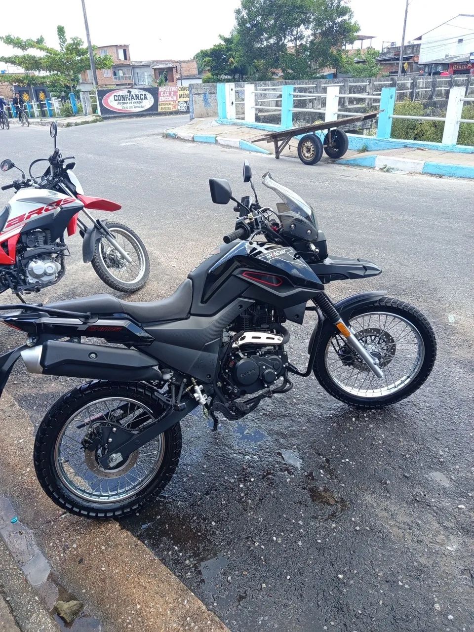 Shi175 