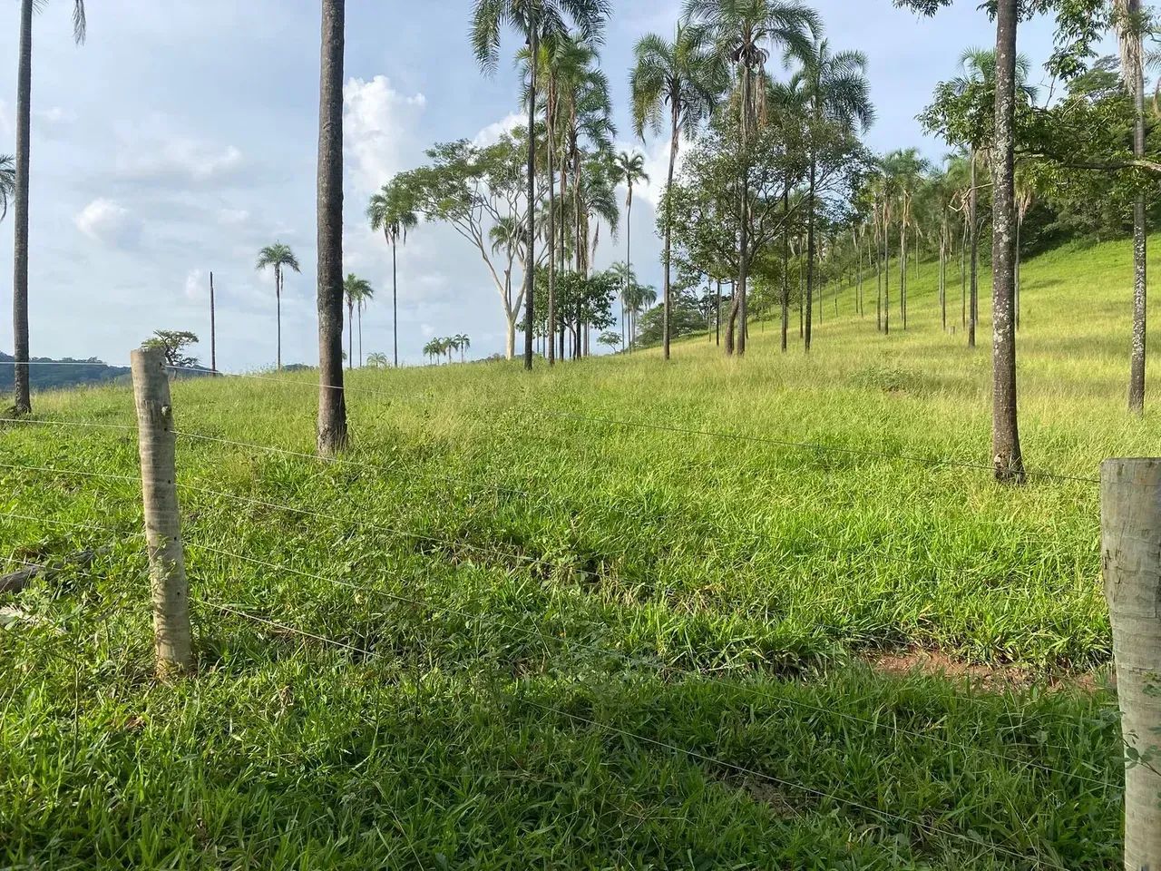 Chácara a venda em Taquaral - Goiás!!! - Foto 5