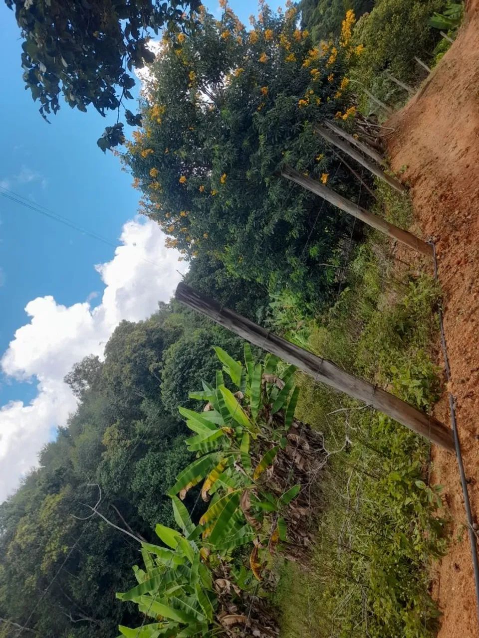 Vendo lindo terreno em Santa Teresa - Foto 5