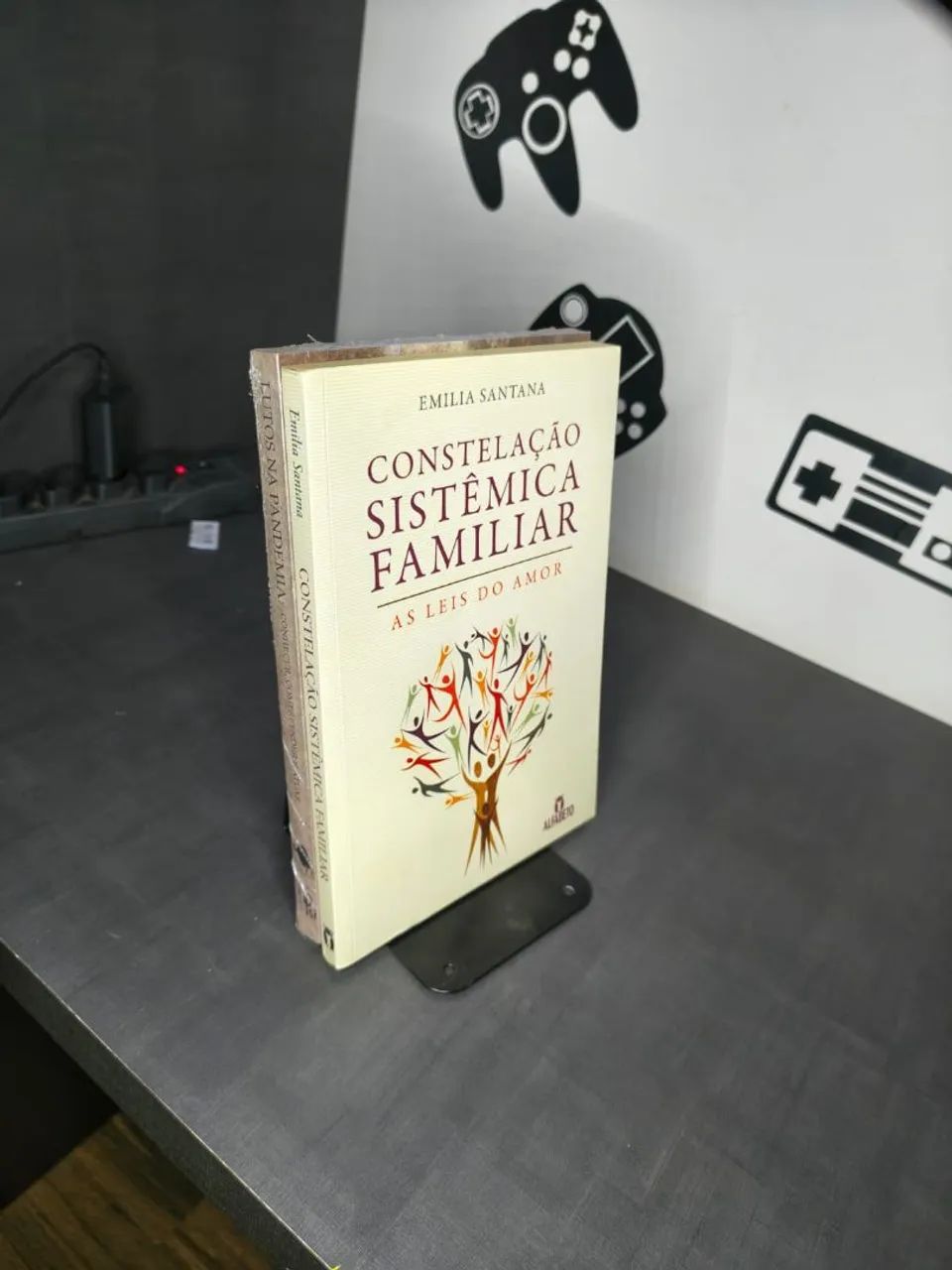 Livro - Temática Constelação Famíliar - Foto 2