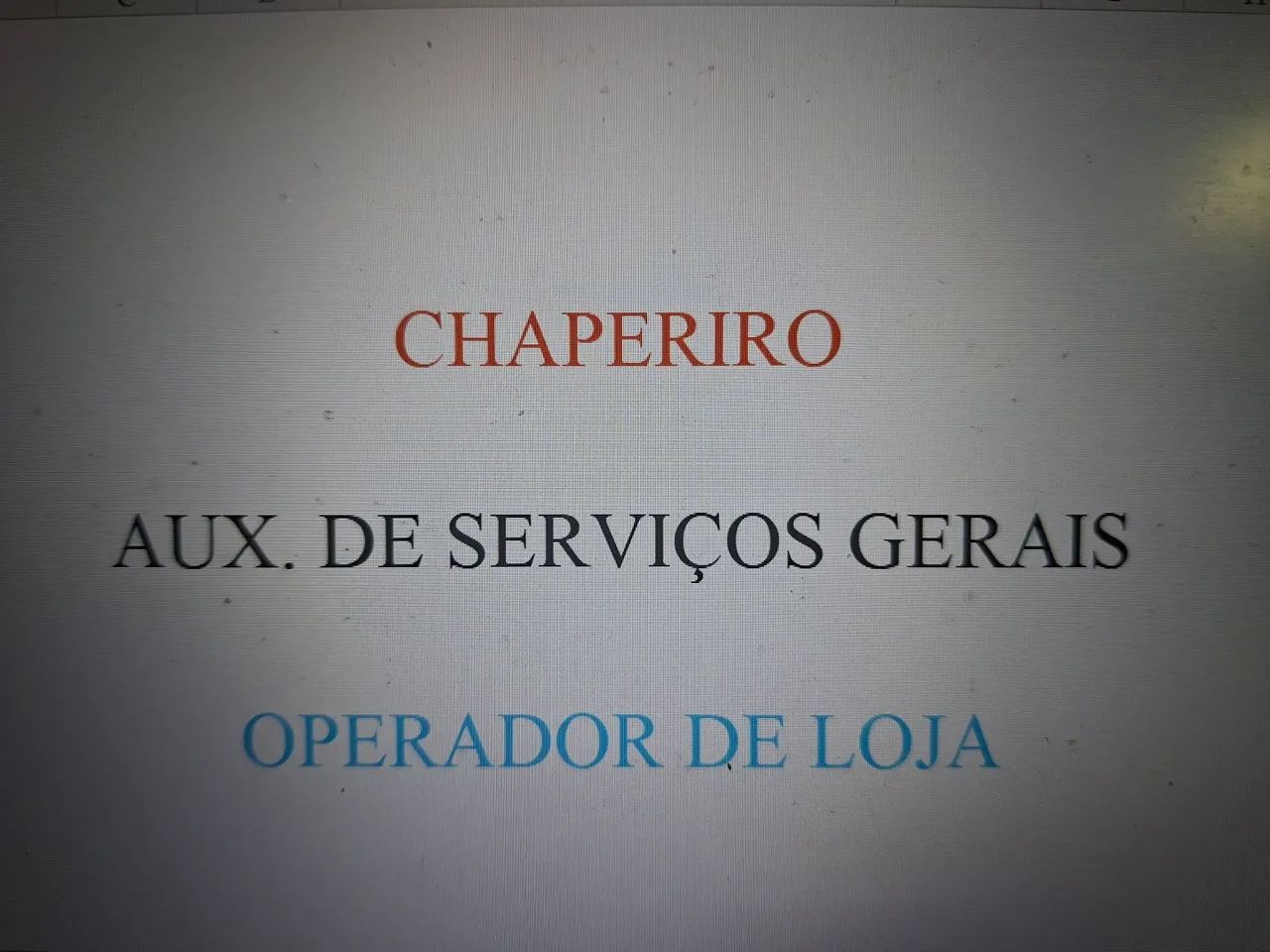 Auxiliar de Serviços Gerais / Chapeiro / Operador de Loja.