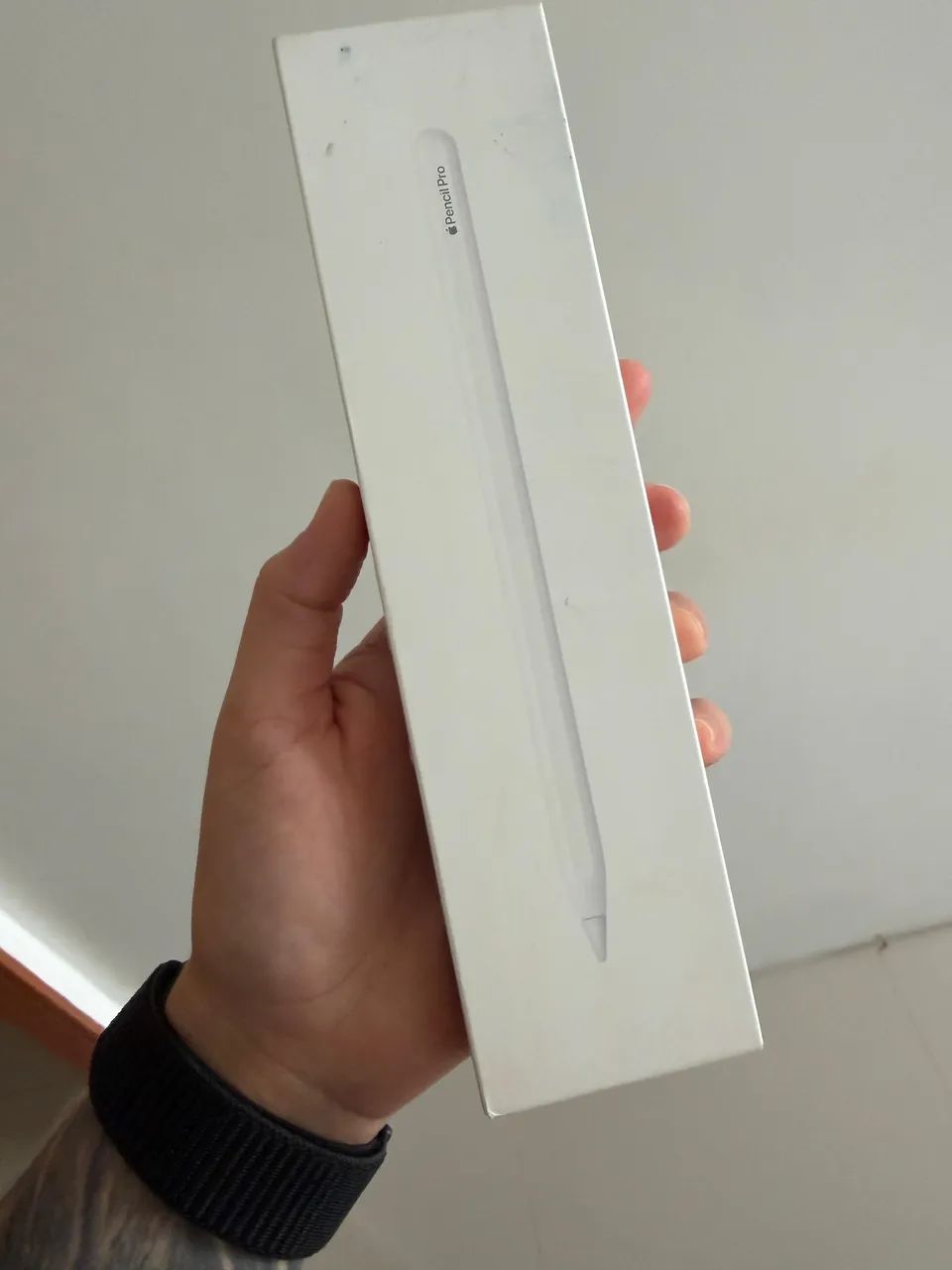 Apple Pencil Pro para iPad Mini (A17 Pro), iPad Air (M2 / M3 / M4) e iPad Pro (M4 / M5)