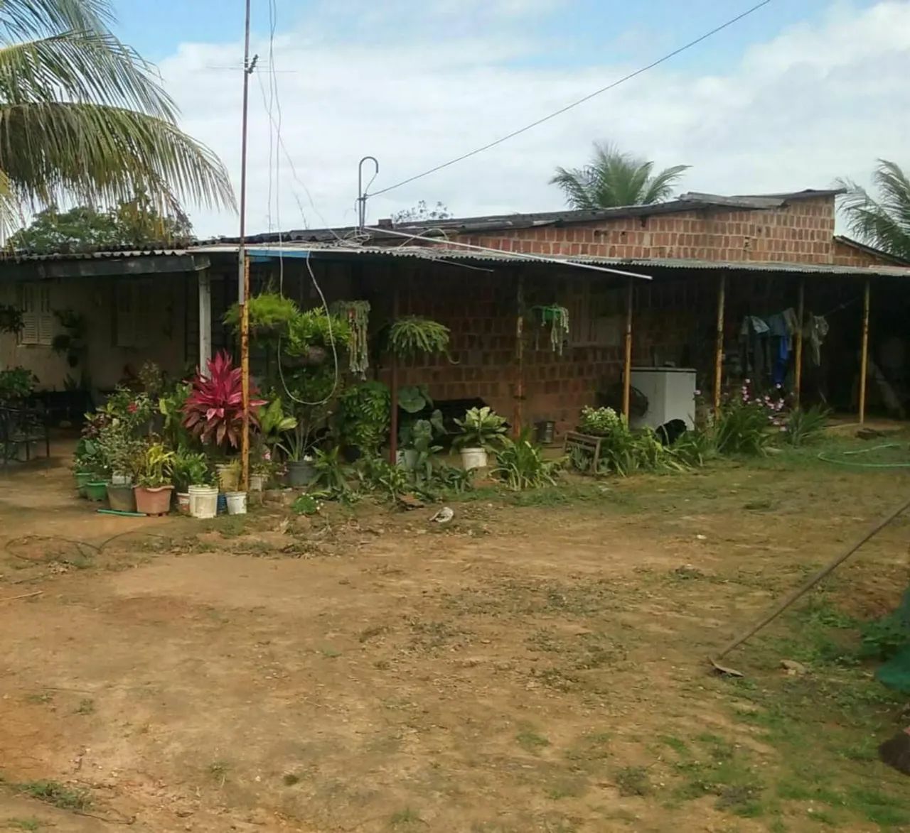 sítio localizado são Lourenço da mata  - Foto 3