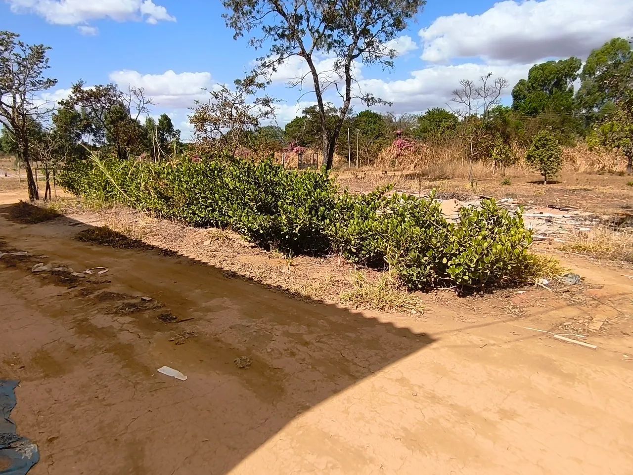 Lote de chácara Planaltina  - Foto 5