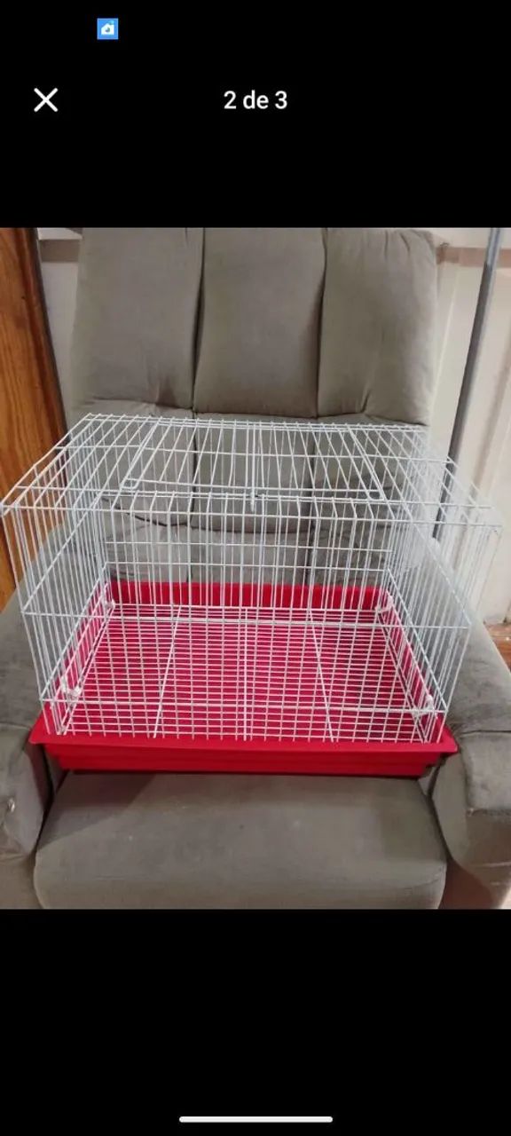  Gaiola estado de novo 