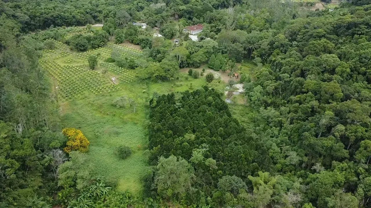 Sitio muito agradável com renda em Miracatu