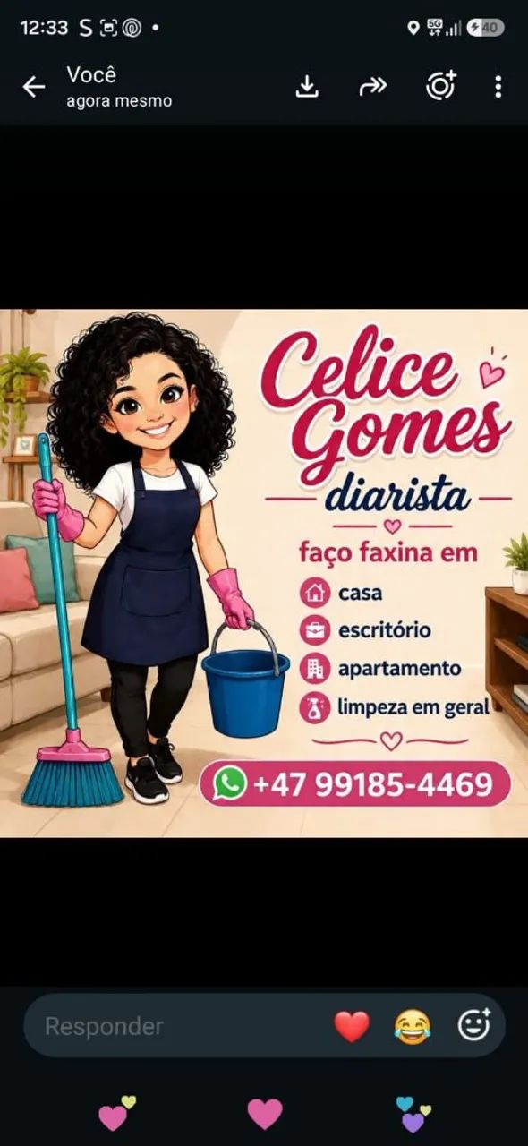 Limpo e organizo seu lar 