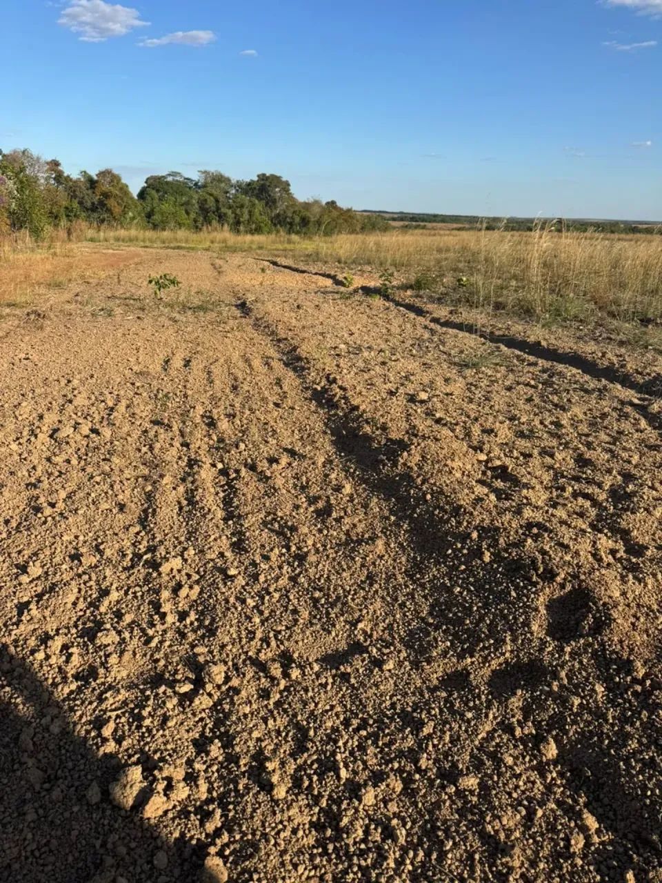 Fazenda a venda em Pedro Afonso - Tocantins!!! - Foto 4