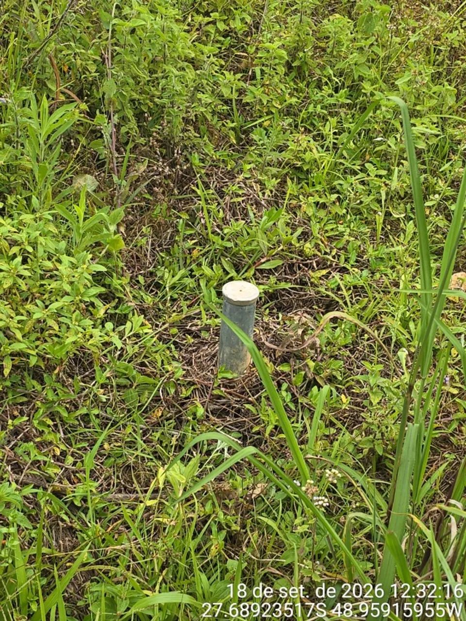 TERRENO PARA AIRBNB - ÁGUAS MORNAS  - Foto 5
