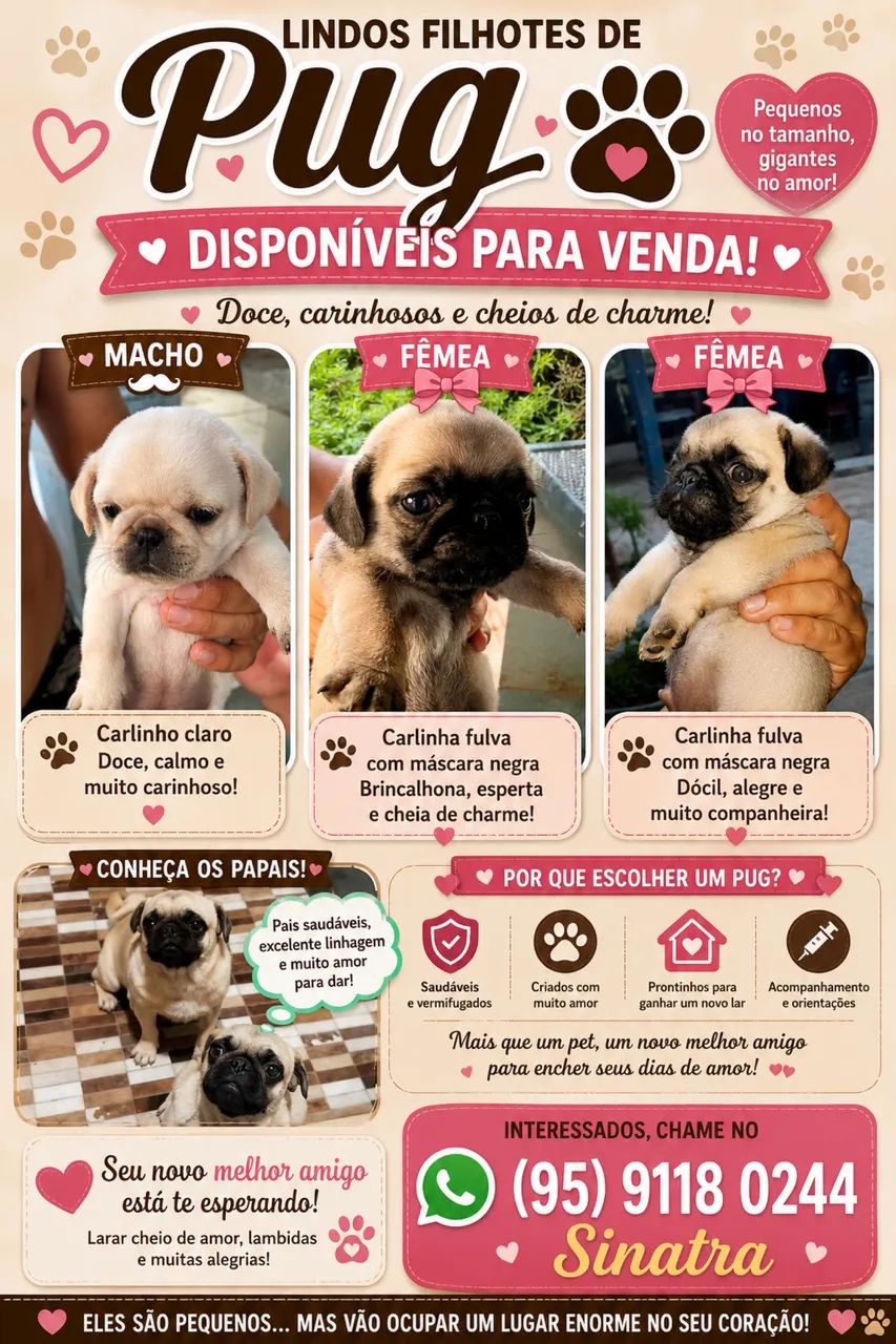 Pug