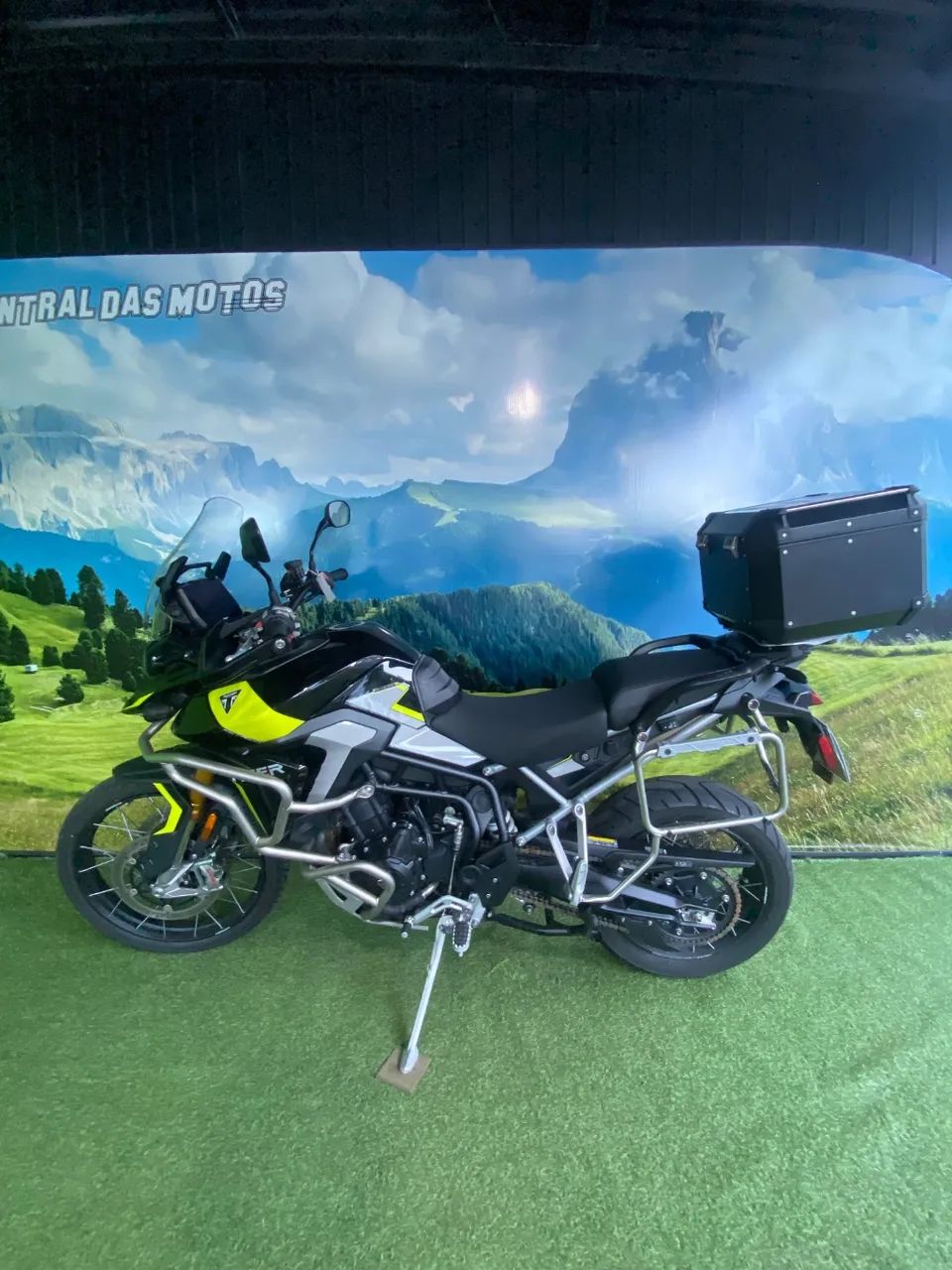 TIGER 900 RALLY PRO