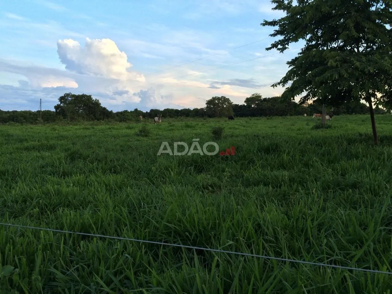FAZENDA EM PORANGATU GO - Foto 4