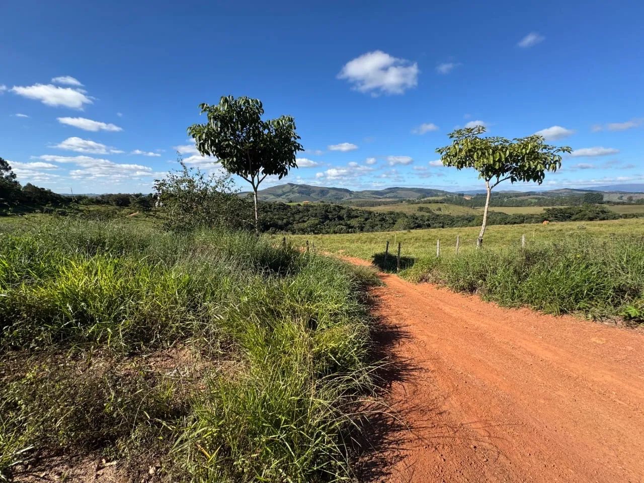 Lote em Santana Do Garambéu  - Foto 5