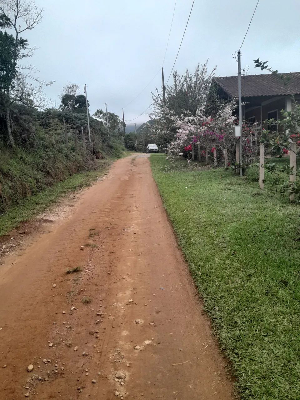 Vendo chacara no Pacau Bom Jardim de MG - Foto 3