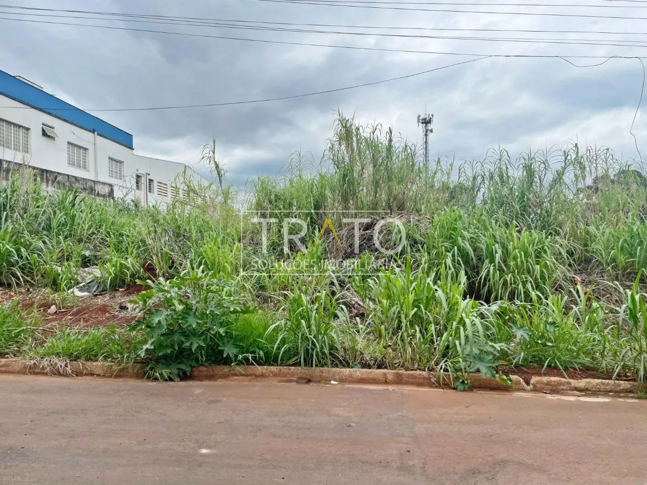 área - Betel - Paulínia - Foto 5