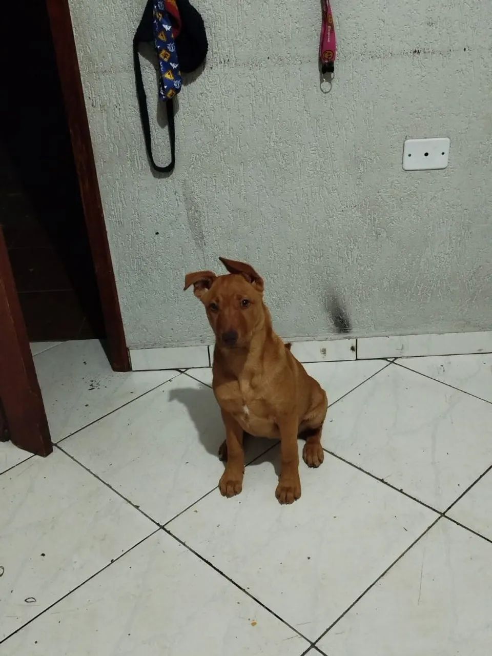 Doação 