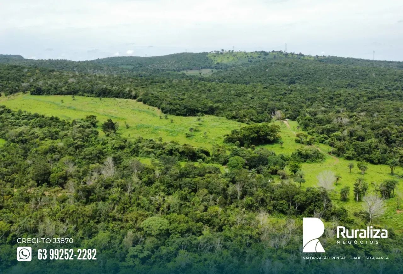 39 ALQUEIRES | 95 HA PARA ABERTURA | RIO PIRANHAS - Foto 4