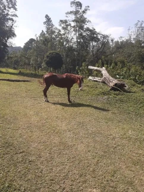 Maravilha de Terreno em Parelheiros - Foto 6