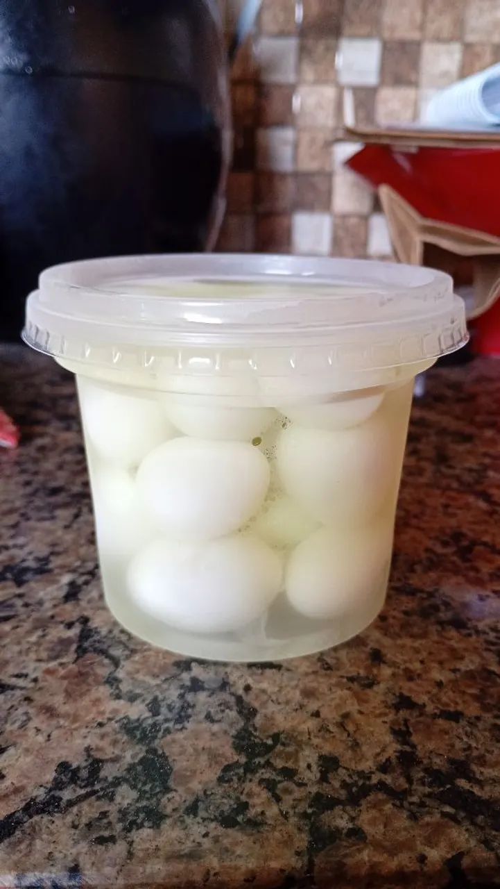 Ovos de codorna 