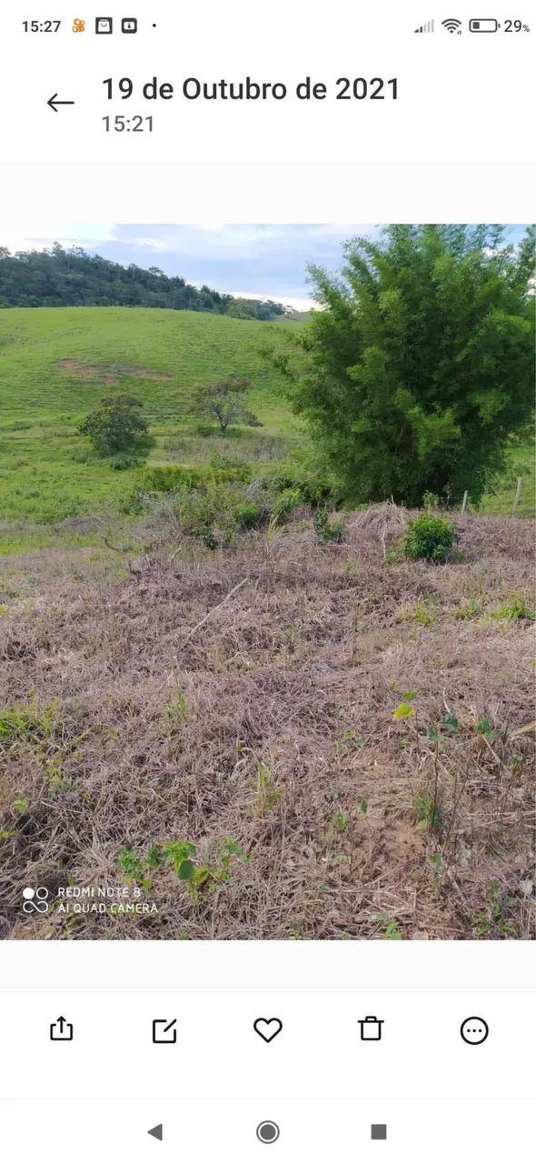Foto - Santo Antônio de Pádua - 
