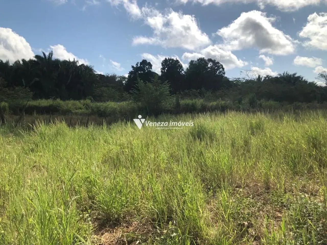 Sitio no povoado cacimba velha a venda - Foto 4