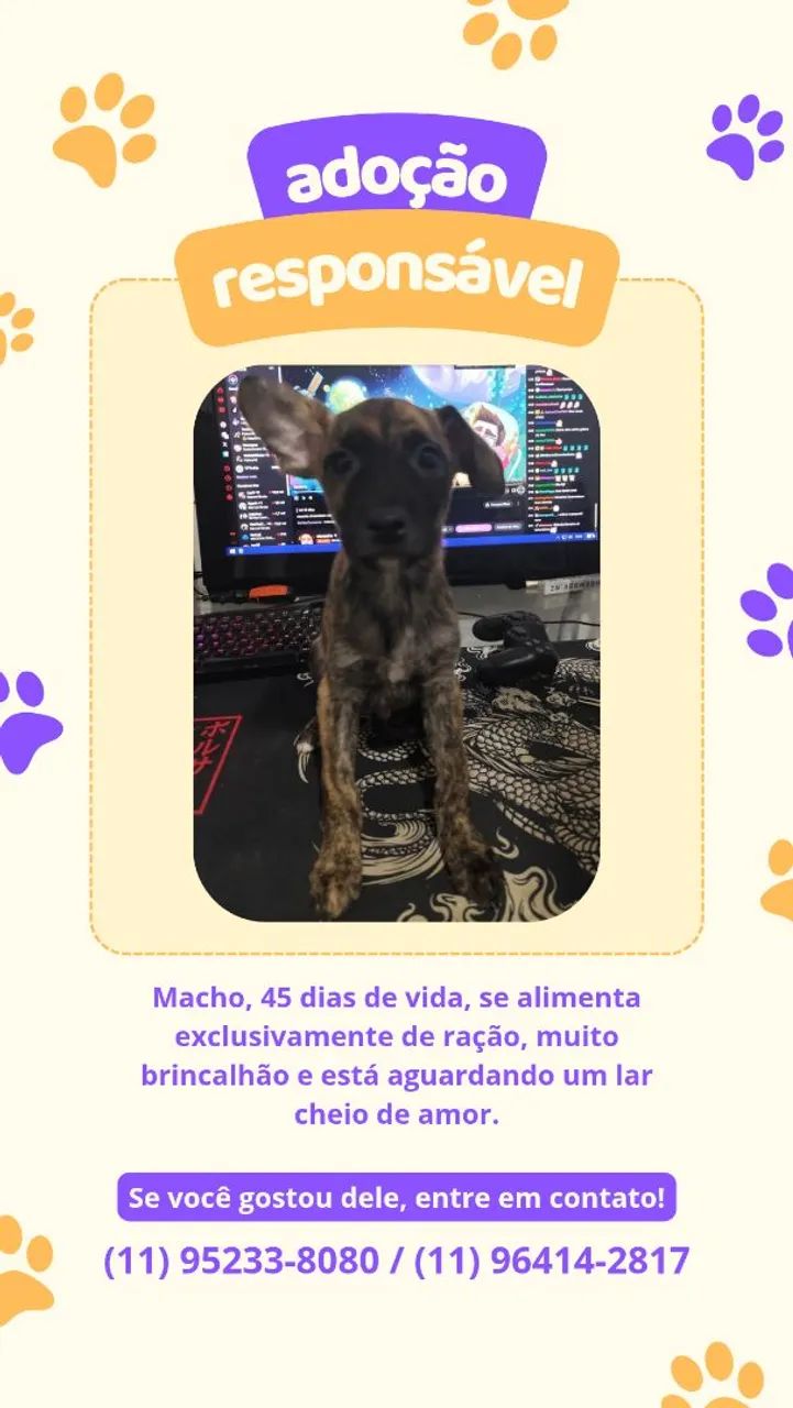 DOAÇÃO - Foto 4