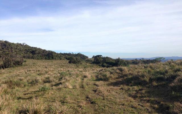 Fazenda em Urubici - SC - Foto 9