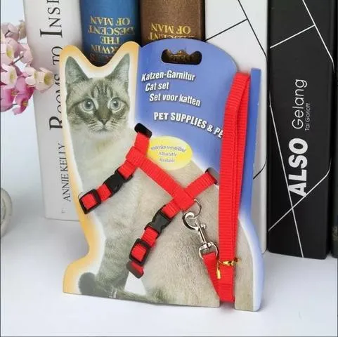 Coleira Guia Gato Coelho Cão Furão
