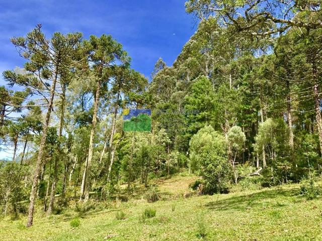 Terreno 2 hectares em Urubici - Foto 4