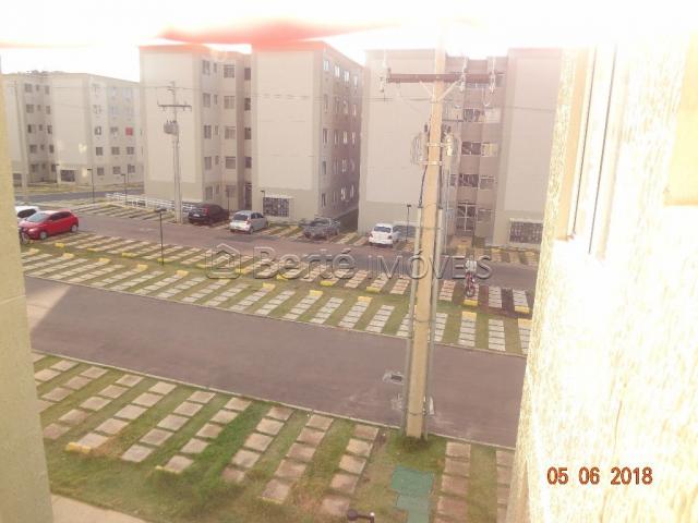 Apartamento para alugar com 2 dormitórios em Cavalhada, Porto alegre cod:BT7615 - Foto 12