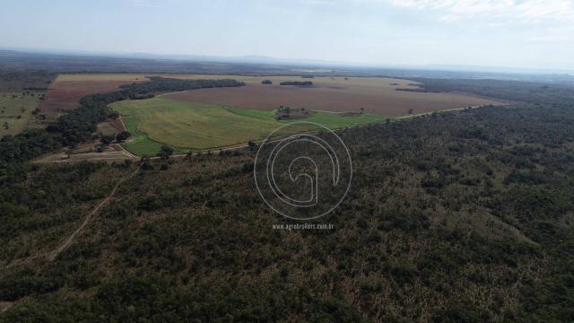 Fazenda à venda, 978 ha, região do manso - Foto 7