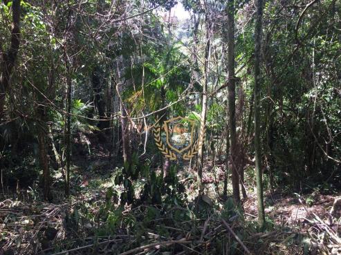 Terreno à venda, 653 m² por r$ 210.000,00 - comary - teresópolis/rj - Foto 6