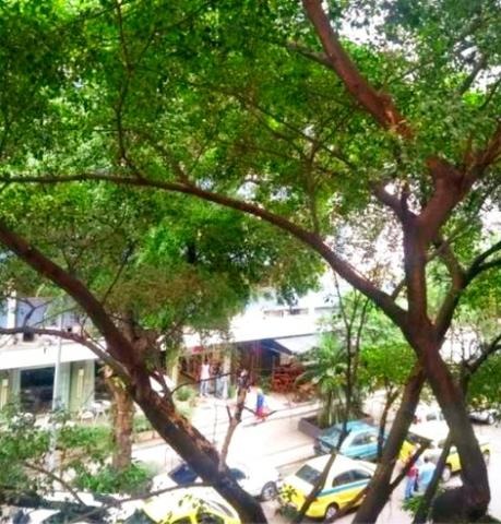 Oportunidade! Rua Anita Garibaldi - 2 quartos + área de dependências - 93m2 com vaga - Foto 2
