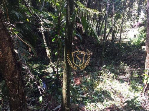 Terreno à venda, 653 m² por r$ 210.000,00 - comary - teresópolis/rj - Foto 2