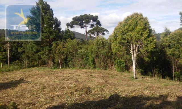 Ch0190 mandirituba chácara 4.400 m² vendo ou troco lugar bom de conhecer - Foto 6