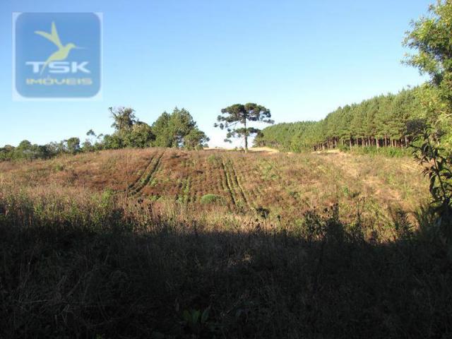 Ch0197 - área para formar chácara araucária - tietê 36.300 m² luz e água - Foto 3