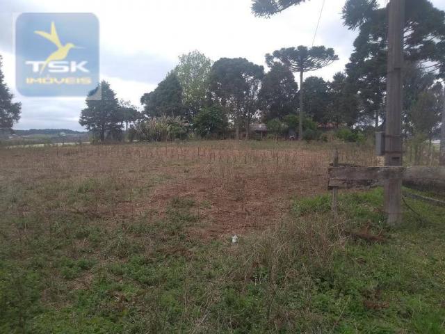 Ch0303 chácara/área industrial mandirituba 15.000 m² aceita chácara menor na troca perto d - Foto 14