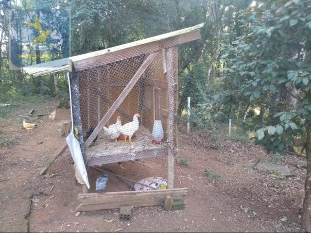 Ch0308 - mandirituba chácara 10.000 m² antes do pedágio com ótima casa - Foto 20