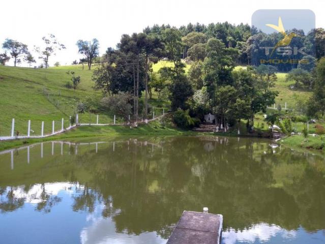 Ch0275 chácara areia branca mandirituba, frente asfalto, linda propriedade - Foto 12