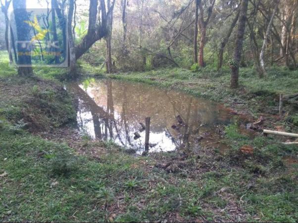 Ch0308 - mandirituba chácara 10.000 m² antes do pedágio com ótima casa - Foto 17