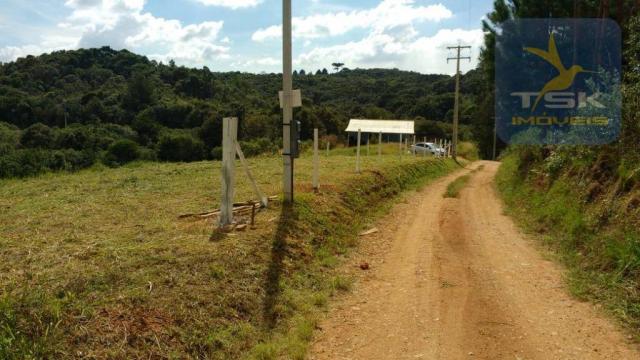 Ch0358 mandirituba 5.000 m², antes do pedágio, luz e riacho, cercada - Foto 5