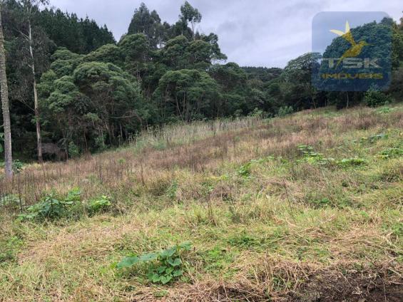 Chácara à venda, 6.957 m² por r$ 175.000 - barco - mandirituba/pr - Foto 9