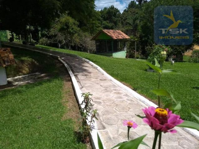 Ch0275 chácara areia branca mandirituba, frente asfalto, linda propriedade - Foto 15