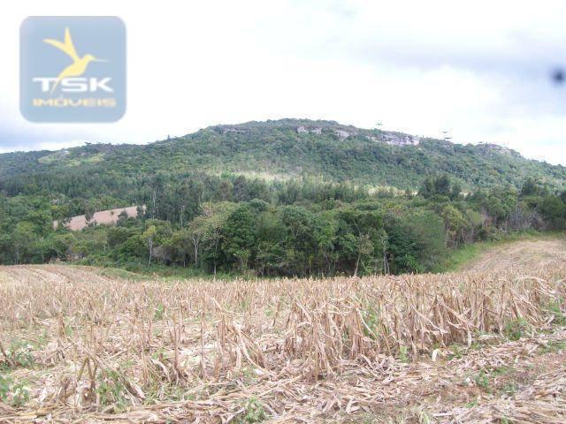 Fazenda em quitandinha - (cerrinho) - - Foto 6
