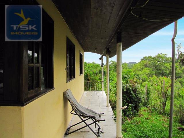 Chácara rural à venda, 4 pinheiros, mandirituba. - Foto 3